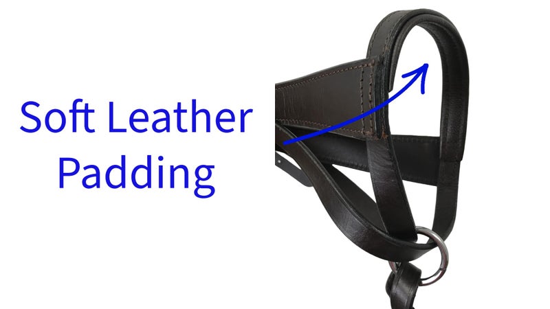 Paris Tack Double Layered Leather Grow with Me Adjustable Horse Foal Halter with Extra Crown Piece - Image 4